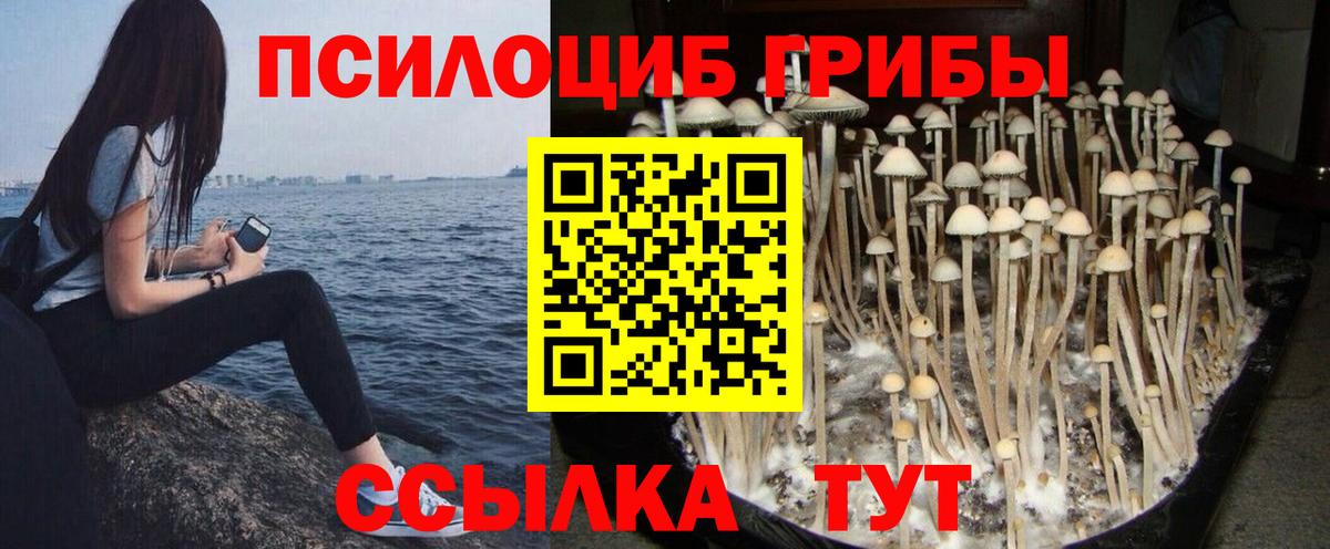 Псилоцибиновые грибы MAGIC MUSHROOMS Джанкой